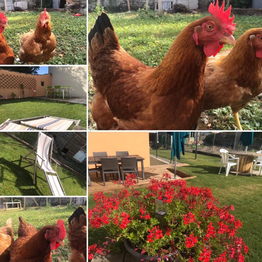 Les Gites De La Frerie La Gaubretiere Exteriér fotografie